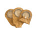 stoma